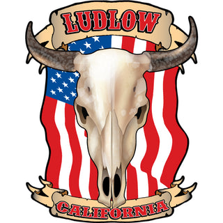 Ludlow  California   Flag Steer Skull Sticker