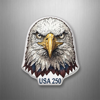 Eagle Stare 3D Magnet