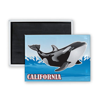 California Orca Rectangle Badge Magnet