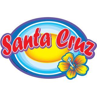 OK4 Santa Cruz  CA Blue Oval with Yellow Flower Sticker