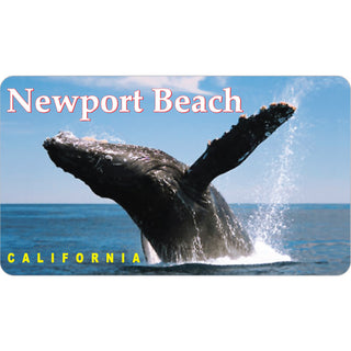 OK4 Newport Beach CA Whale Photo (00137) Sticker