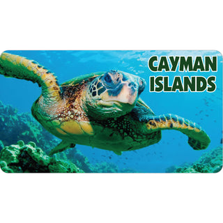 Cayman Islands B.W.I Sea Turtle Photo Sticker