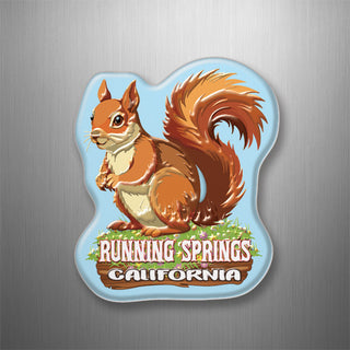 Running Springs  California   Squirrel on Flowers 3D Magnet
