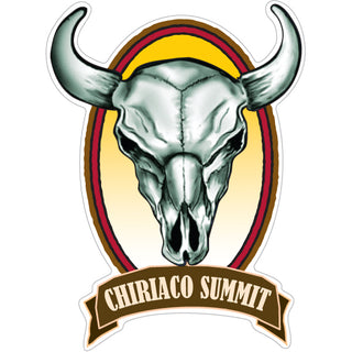 Chiriaco Summit  CA Steer Skull Sticker