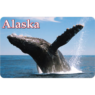 Alaska Jumping Whale Photo Sticker