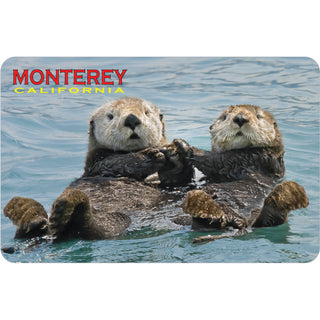 Monterey  California   Otter Photo Sticker