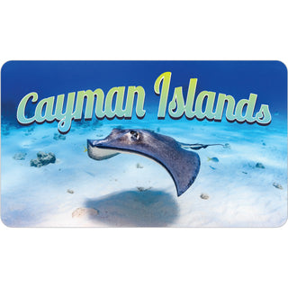 Sting Ray Photo Sticker
