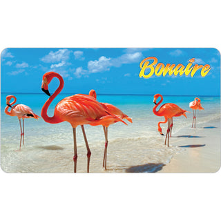 Bonaire Flamingo Photo Sticker