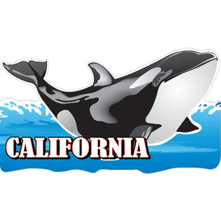 California   Orca Sticker