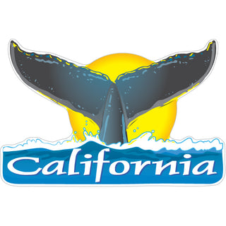 California   Whale Tail Sticker