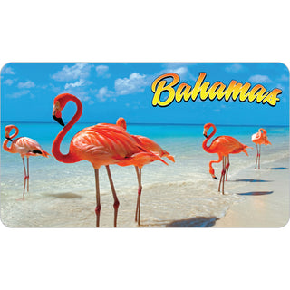 Bahamas Flamingo Photo Sticker