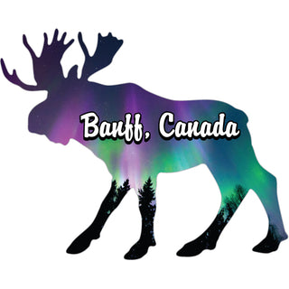 Banff  Canada   Northern Lights Moose Sticker