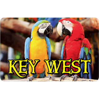 OK3 Key West Parrots Sticker
