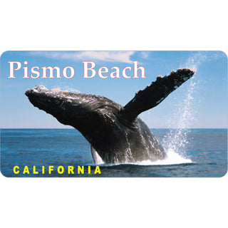 Pismo Beach Whale Photo   Pismo Beach Whale Photo Sticker