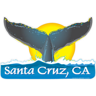 Santa Cruz  CA   Whale Tail Sticker