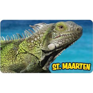 St. Maarten Iguana Photo Sticker