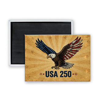 Novelty   Eagle With Flag Wings Rectangle Badge Magnet