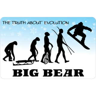 Big Bear Evolution Snowboarder Sticker
