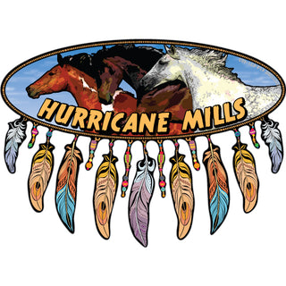 Hurricane Mills Tennessee Horse Oval Dreamcatcher Sticker