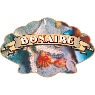 Bonaire Shell Sticker