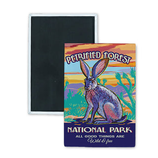 Petrified Forest National Park   Desert Hare Rabbit Rectangle Badge Magnet