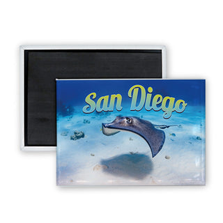 San Diego   Sting Ray Photo Rectangle Badge Magnet