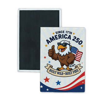 Cool Eagle America 250 Rectangle Badge Magnet
