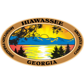 Hiawassee Georgia Come Explore Oval with Lake Sticker