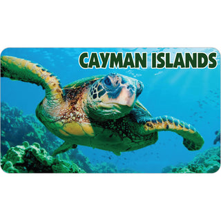 Cayman Islands Sea Turtle Photo Sticker