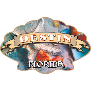 OK4 Destin Seashells Sticker