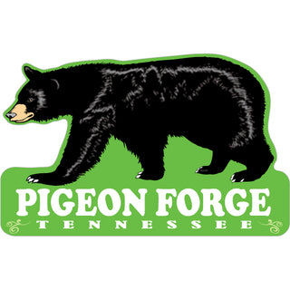 OK4 Pigeon Forge  TN Bear on Green BG (00246) Sticker