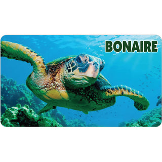 Bonaire   Green Sea Turtle Photo Sticker