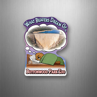 OK4 Buttonwood Park Zoo What Do Beavers Dream of   flexible magnet Flexible Magnet