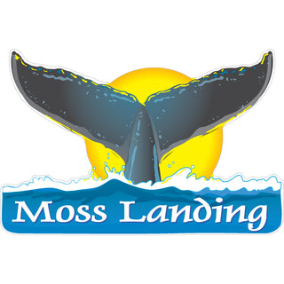 OK4 Moss Landing Whale Tail Large Sticker (0326 00118 03) Sticker
