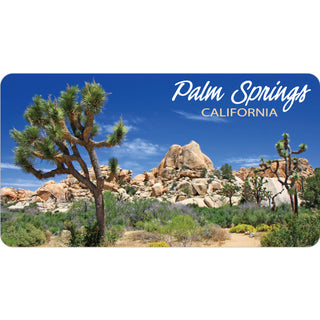 Palm Springs  California   Joshua Tree Desert Photo Sticker