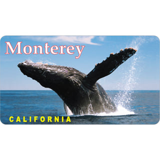 Whale Jumping   Monterey  CA Whale Jumping Sticker