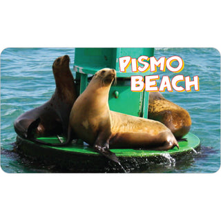 Pismo Beach  CA   Sea Lion Photo Sticker