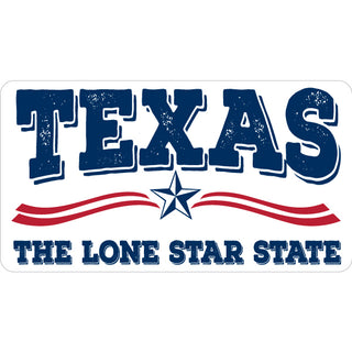 Texas   Lone Star Wave Sticker