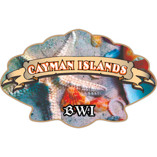 Cayman Islands B W I Seashells Sticker