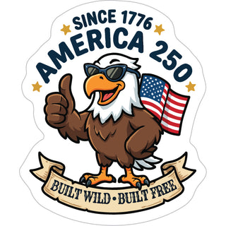 COOL EAGLE AMERICA 250 Sticker
