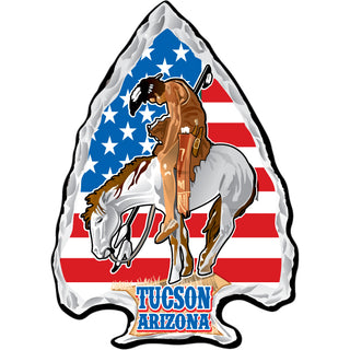 Tucson AZ Trail of Tears US Flag Arrowhead Sticker