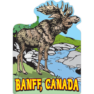 Banff  Canada   Moose on Riverbank Sticker