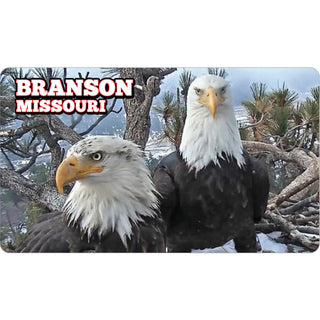 OK4 Branson  MO Eagles Photo (00891) Sticker