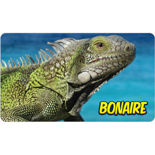 Bonaire   Iguana Sticker