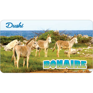 Bonaire   Dushi Donkey Photo Sticker