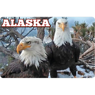 Alaska Eagles Photo Sticker