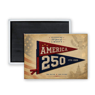 America 250 Pennant   America 250 Pennant Rectangle Badge Magnet