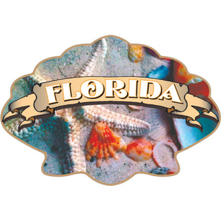 OK4 FLORIDA SEASHELLS Sticker
