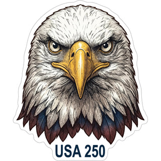 EAGLE STARE Sticker