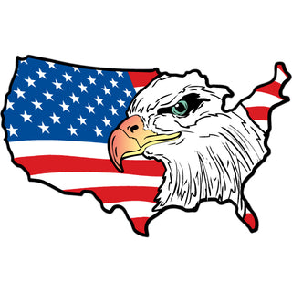 Novelty   USA Flag Eagle Sticker